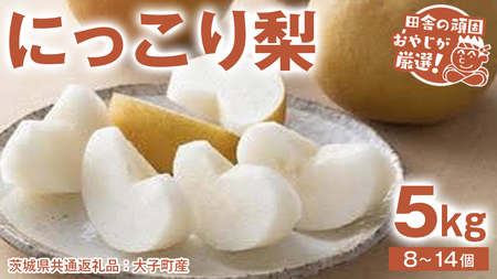 にっこり梨 5kg（8～14個）【2026年10月より発送開始】（茨城県共通返礼品 [梨]：大子町産）