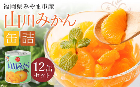 山川みかん缶詰 12缶セット [2026年1月下旬以降順次発送予定]