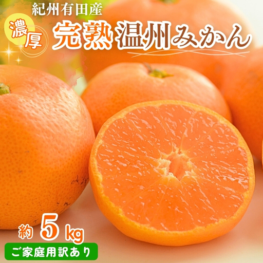 【先行予約】紀州有田産 濃厚完熟 温州みかん 5kg 【家庭用 訳あり】 ※2026年11月下旬～2027年1月下旬頃に順次発送予定 / みかん ミカン 蜜柑 温州みかん 柑橘 フルーツ 果物 くだもの 和歌山【uot003】
