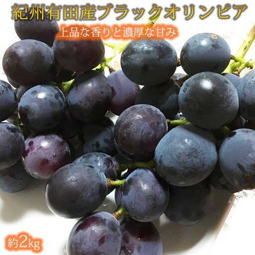 紀州有田産 ブラックオリンピア(ハチミツぶどう) 約2kg ※2026年8月中旬頃〜2026年9月上旬頃に順次発送に順次発送予定 / ぶどう ブドウ 葡萄 フルーツ 果物 くだもの【uot005】