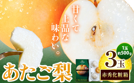 [2026年先行予約]あたご梨 約500g×3玉 化粧箱 石原果樹園 [2026年11月中旬-12月下旬頃より発送予定]|梨