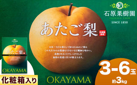 [2026年先行予約]あたご梨 3〜6玉(約3kg) 化粧箱 石原果樹園 赤秀 [11月中旬-12月下旬頃より発送予定]| 岡山県 浅口市 梨