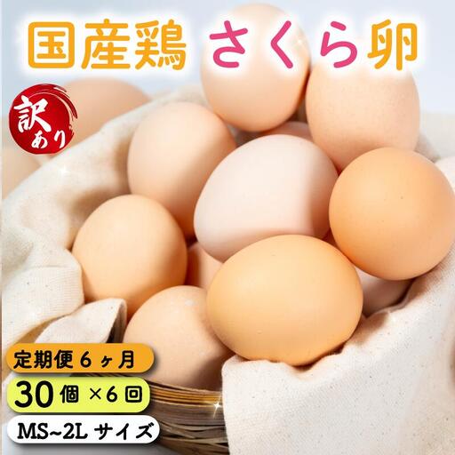 定期便 卵 30個 ( たまご 25個 + 割れ補償 5個 ) 6回 6ヶ月 定期便 国産 鶏 さくら 簡易包装 コクのある 濃い 風味 とれたて 生たまご 滋賀 地産地消 の 飼料米 玉子 産みたて 国産 新鮮 卵かけご飯 大容量 生 卵 鶏 天然 すき焼き 目玉 焼き 滋賀県 竜王町 玉子 鶏卵 生卵 産地直送                                                            