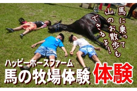 馬の牧場体験&馬に乗って山をお散歩30分コースチケット
