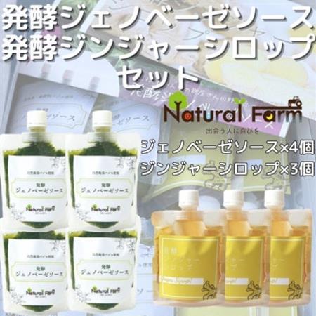 発酵ジェノベーゼソース×発酵ジンジャーシロップ(計7個セット)C0-71_調味料   _【配送不可地域：離島】【1482049】
