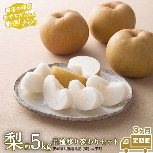 【ふるさと納税】【定期便】梨 5kg（7〜12個）品種移り変わりセット【2026年8月から3か月連続で発送】（茨城県共通返礼品 [梨]：大子町産） なし ナシ 果物 フルーツ 茨城県産