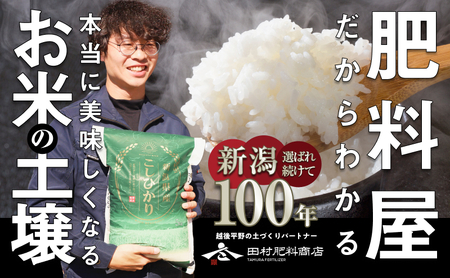【6ヶ月定期便】 新潟県産 コシヒカリ 5kg×6回 計30kg  米 お米 白米 こしひかり 新潟県 新潟市 送料無料