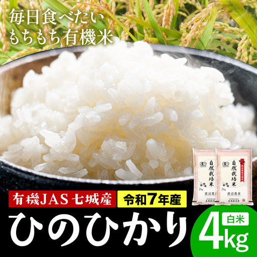 令和7年産 有機JAS 七城産ひのひかり 精米 4kg《30日以内に出荷予定(土日祝除く)》 渡辺農産熊本県 菊池市 米 お米 精米 ひのひかり 菊池市産 熊本県産 九州産 送料無料