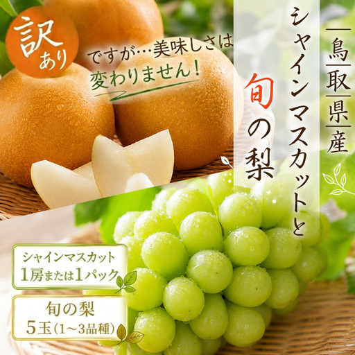 [訳あり]シャインマスカットと旬の梨セット
