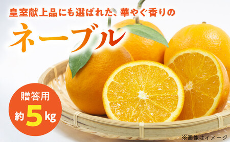 54-12　福島オレンジ農園　【贈答用】減農薬栽培! おいしい樹成甘熟!!ネーブル　約5kg_U54-0012