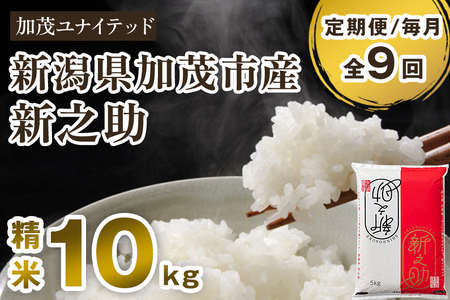 【令和8年産新米先行予約】【定期便9ヶ月毎月お届け】新潟県産 新之助 精米10kg（5kg×2袋）《10月上旬から順次出荷》