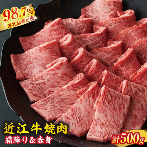 【一週間以内発送】近江牛 焼肉 霜降り × 赤身 ミックス 500g 冷蔵 寛閑観【FR23W】 近江牛  牛肉