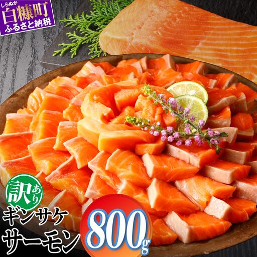 【訳あり】ギンサケサーモン【800g】_T013-1908