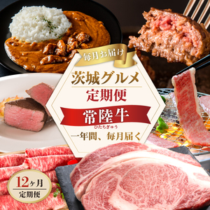12ヶ月 定期便 肉 常陸牛 Cコース 肉のイイジマ（DU-113）