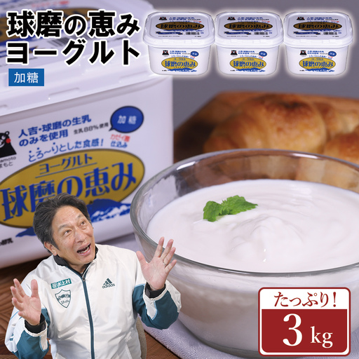 球磨の恵み ヨーグルト 加糖 3kg まとめ買い 大容量 熊本県 水上村