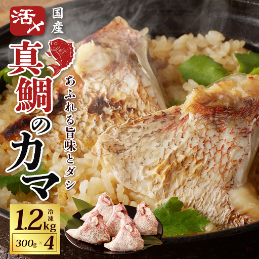国産 活〆養殖 真鯛のカマ 合計1.2kg