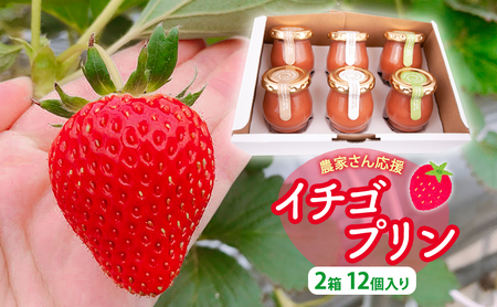 イチゴプリン スイーツ デザート ひんやり イチゴプリン【12個】