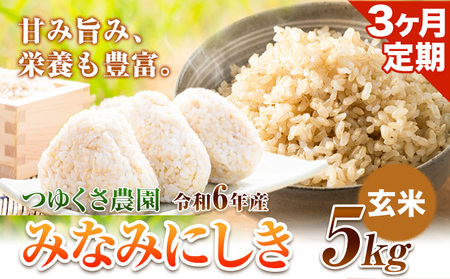 【3ヶ月定期便】新米  令和6年産 みなみにしき 玄米 5kg 熊本県 荒尾市産 米 玄米 定期 つゆくさ農園 《お申込み月の翌月から出荷開始》 美味しい米 お米 熊本県産米 くまもと米 st-p