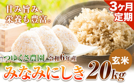 【3ヶ月定期便】新米 令和6年産 みなみにしき 玄米 20kg 熊本県 荒尾市産 米 玄米 定期 つゆくさ農園 《お申込み月の翌月から出荷開始》 美味しい米 お米 熊本県産米 くまもと米 st-p