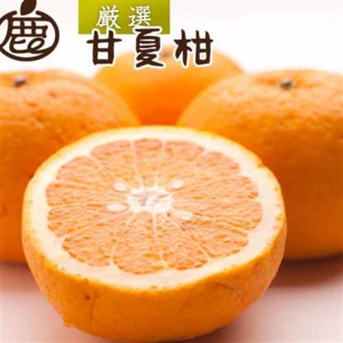 厳選 甘夏柑5kg+250g(傷み補償分)【初夏のみかん・旬の果物】【有田産】【光センサー選果】【配送不可地域：離島・北海道・沖縄県】【1169349】