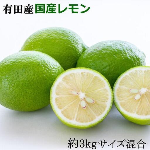 有田産の安心国産レモン約3kg （サイズ混合）※2026年10月中旬〜2027年4月中旬頃に順次発送予定（お届け日指定不可）【tec943A】