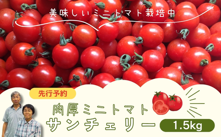 【先行予約】ミニトマト サンチェリー 1.5kg 農家直送 福島県 田村市