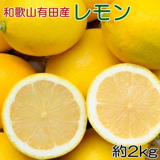 和歌山有田産 国産レモン 約2kg ★2027年2月中旬頃より順次発送[安心果実]