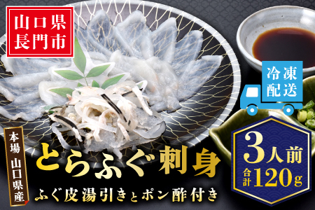 [配送日指定可] とらふぐ刺身1人前×3皿 冷凍 小分け ふぐ皮湯引き トラフグ フグ 最高級とら 父の日 母の日 イベント お中元 お歳暮 贈答用 ギフト 熨斗 のし 大人気 山口県 本場トラフグ 職人 板前 専門店 (10103)