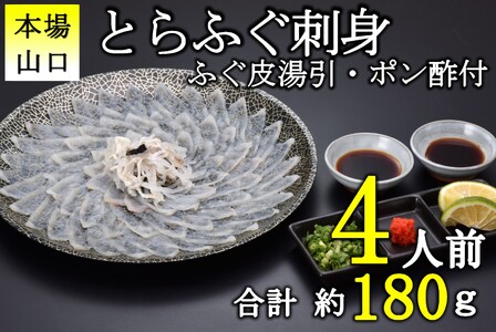 [配送日指定可] とらふぐ刺身4人前 冷凍 てっさ ふぐ刺し 皮湯引き トラフグ フグ 最高級とら 父の日 母の日 イベント お中元 お歳暮 贈答用 ギフト 熨斗 のし 大人気 山口県 本場トラフグ 職人 板前 専門店 (10102)
