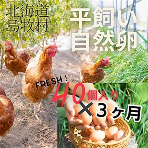 [毎月定期便]ハッピープレイスの 自然卵「ハッピーコッコちゃんたまご」40個入り×3ヶ月(全3回)[配送不可地域:離島]