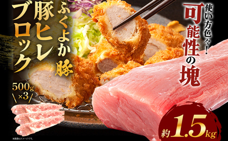 豚肉 ヒレブロック 約1.5kg 豚肉