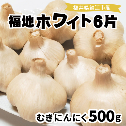 福井県産福地ホワイト6片むきにんにく 500g　野菜 ニンニク