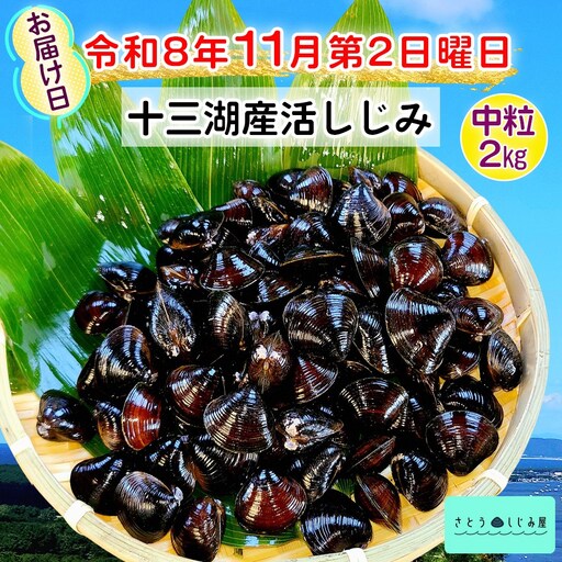 [令和8年11月第2日曜日配達] さとうしじみ屋の十三湖産活しじみ(中粒2kg)[冷蔵] [0804]