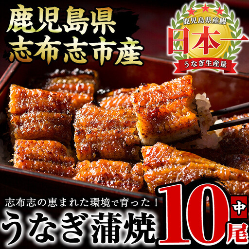 うなぎの大楠＜中＞10尾セット計1.3kg(130g×10) うなぎ 鰻 ウナギ 10尾 国産 九州産 蒲焼き かばやき 冷凍 うな重 ひつまぶし タレ 山椒 真空パック ランキング 人気 e9-001