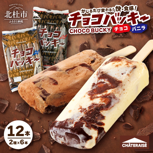 【シャトレーゼ】チョコバッキー バニラ＆チョコ 12本 アイス アイス [h028]