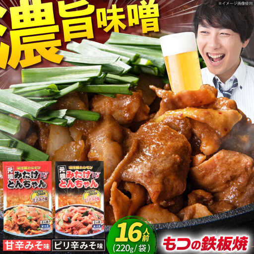 岐阜県産豚もつの鉄板焼「みたけとんちゃん」2種セット(16人前)[AVAA002]おかず 冷凍