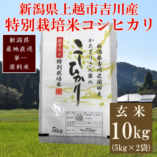 【250kg限定】特別栽培米 コシヒカリ 玄米 10kg 国田産 コシヒカリ
