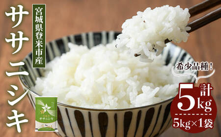 ≪令和7年産≫ ササニシキ 5kg (5kg×1袋) 登米市産 お米 おこめ 米 コメ ささにしき 白米 ご飯 ごはん おにぎり お弁当 [登米ライスサービス株式会社]tm148