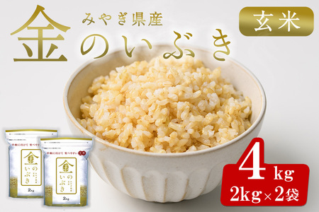 宮城県産 金のいぶき 4kg 玄米 お米 おこめ 米 コメ ご飯 ごはん おにぎり お弁当 ブランド米 宮城米【株式会社パールライス宮城】ta392
