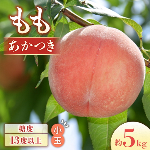 もも あかつき 約5㎏ 桃 小玉 【2027発送分】