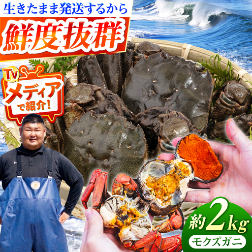 [先行予約]新鮮 活モクズガニ 2kg (10-24杯前後) オス メス セット 蟹 カニ カニ味噌[2026年11月下旬以降順次発送] [ABCB006]