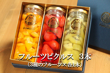 何が届くかお楽しみ! フルーツ ピクルス 3種セット みかん ラズベリー いちご 苺 パイン パイナップル キウイ プルーン レモン 金柑 きんかんもも 桃 ブルーベリー グレープフルーツ 春 夏 秋 冬 酢漬け ギフト 岩手県 盛岡 有限会社トゥレイス