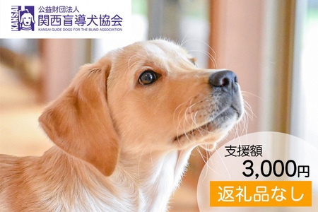 【返礼品相当額で盲導犬の育成を支援】支援額3,000円（記念品なし）寄附のみ 返礼品なし 盲導犬