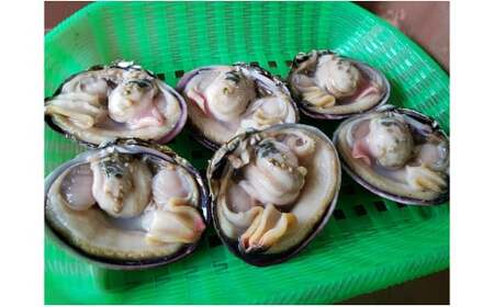 佐久島の漁師さんが獲った大あさり(半割り)[バーベキュー用1.5kg(半割で約12〜20個)]・K088-13