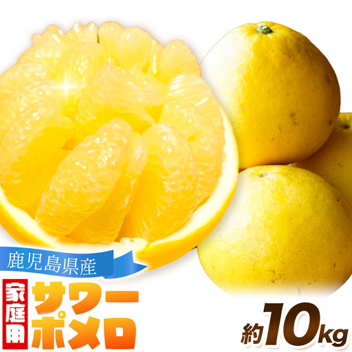 [先行予約]家庭用 みかん サワーポメロ 10kg よしたか農園 [2027年2月上旬〜3月下旬頃出荷]