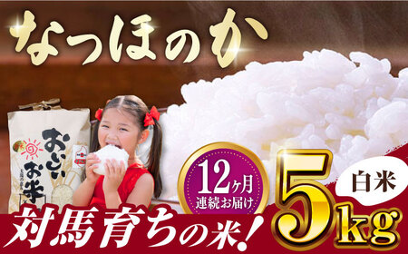 【全12回定期便】対馬産 なつほのか 5kg [WCQ003] 白米 米 お米 ご飯 ごはん 5kg 5キロ 贈答用 定期便 