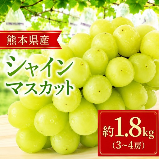 シャインマスカット 約1.8kg （3～4房） リテイファーム