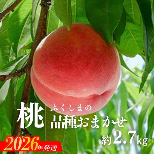 No.2870 もも（品種おまかせ）ご家庭用　約2.7kg【2026年発送】