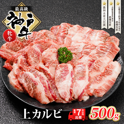 神戸牛 牛肉 牝 上カルビ 焼肉 川岸畜産 神戸牛【500g】【冷凍】