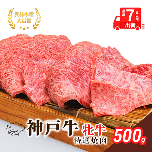 神戸ビーフ 神戸牛 牝 特選焼肉 川岸畜産 神戸ビーフ【500g】【冷凍】